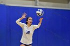 Volleyball vs Babson  Wheaton Women's Volleyball vs Babson College. - Photo by Keith Nordstrom : Wheaton, Volleyball, VB